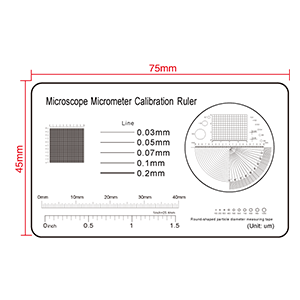 Film Ruler